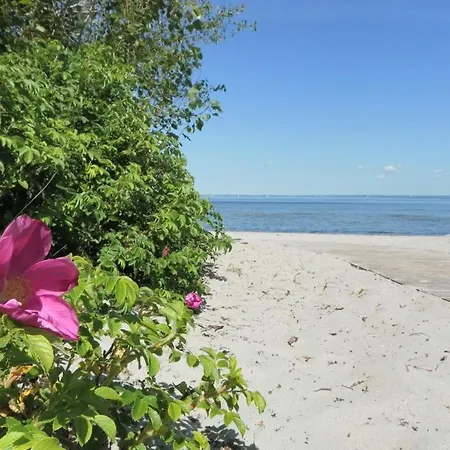 Kuestenblick * Barendorf (Mecklenburg-Vorpommern)